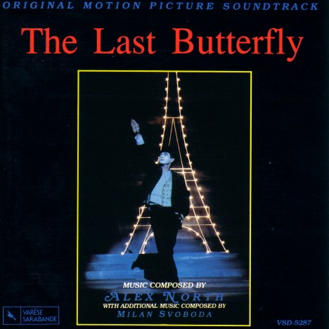 butterfly